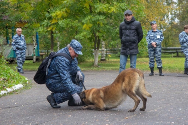 Наши всегда побеждают